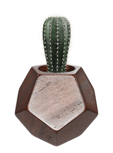 GeoPlanter · Matte Terracotta